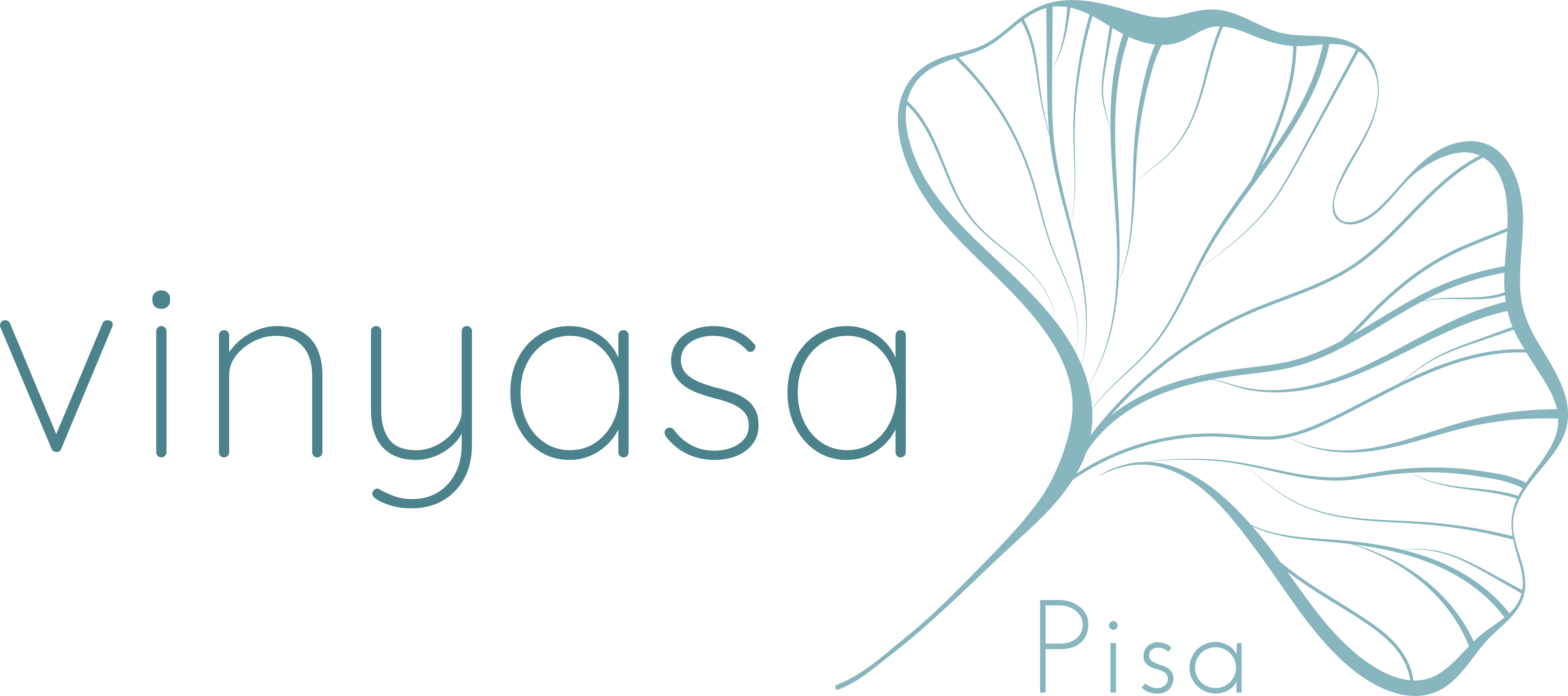 Vinyasa Yoga Pisa